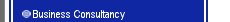 Business Consultancy